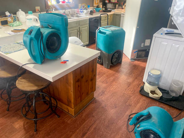 Best Water damage mitigation services  in San Jose, CA
