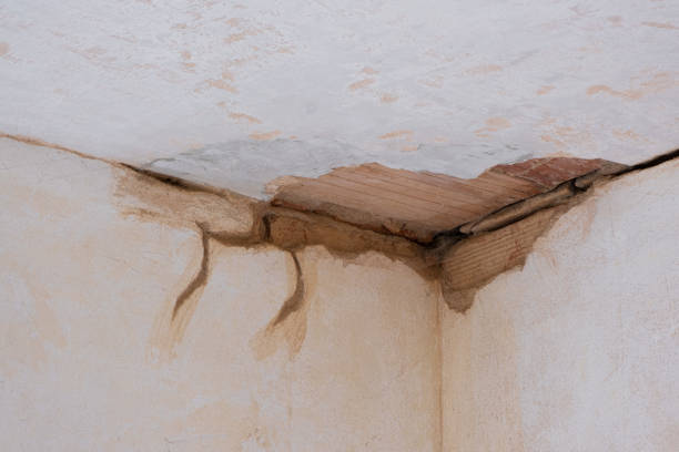Best Flooded house restoration  in San Jose, CA