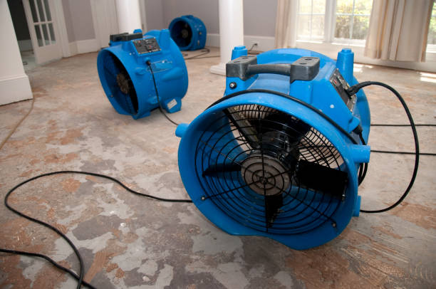 Best Sewage cleanup and water damage restoration  in San Jose, CA