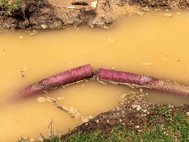 Best Water damage repair service  in San Jose, CA