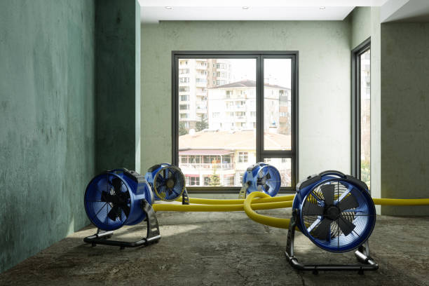 Best Water damage cleanup near me  in San Jose, CA
